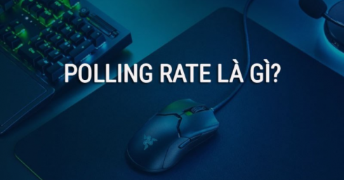 Polling rate là gì